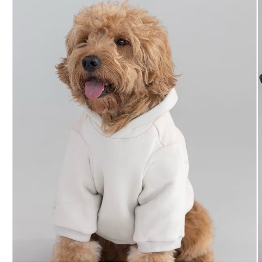 Comfrt Tranquil Paw Hoodie